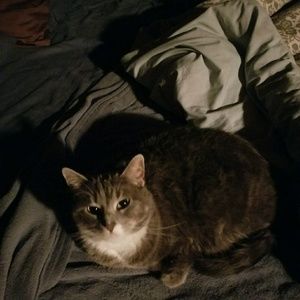 Meet your Posher, Patrick